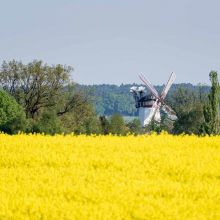 N12-copyright-Lueneburger-Heide-GmbH_web