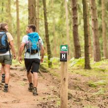 N14-copyright-Lueneburger-Heide-GmbH_web