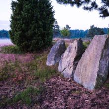 N26-copyright-Lueneburger-Heide-GmbH_web