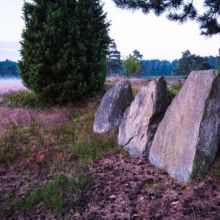 N26-copyright-Lueneburger-Heide-GmbH_web