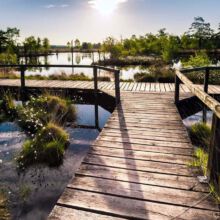 N30-copyright-Lueneburger-Heide-GmbH_web