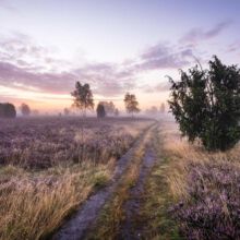 N39-copyright-Lueneburger-Heide-GmbH_web