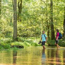 N40-copyright-Lueneburger-Heide-GmbH_web