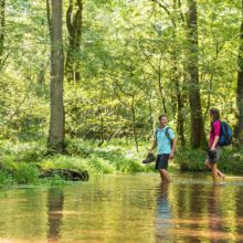 N40-copyright-Lueneburger-Heide-GmbH_web